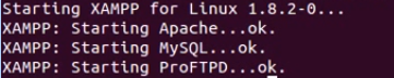 Imagem de Inicializar servidor xampp linux ubuntu